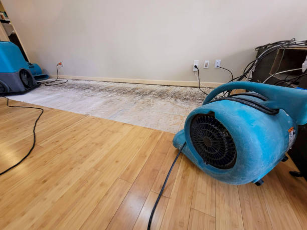 Professional Flood Damage Cleanup technician working in Valhalla, NY